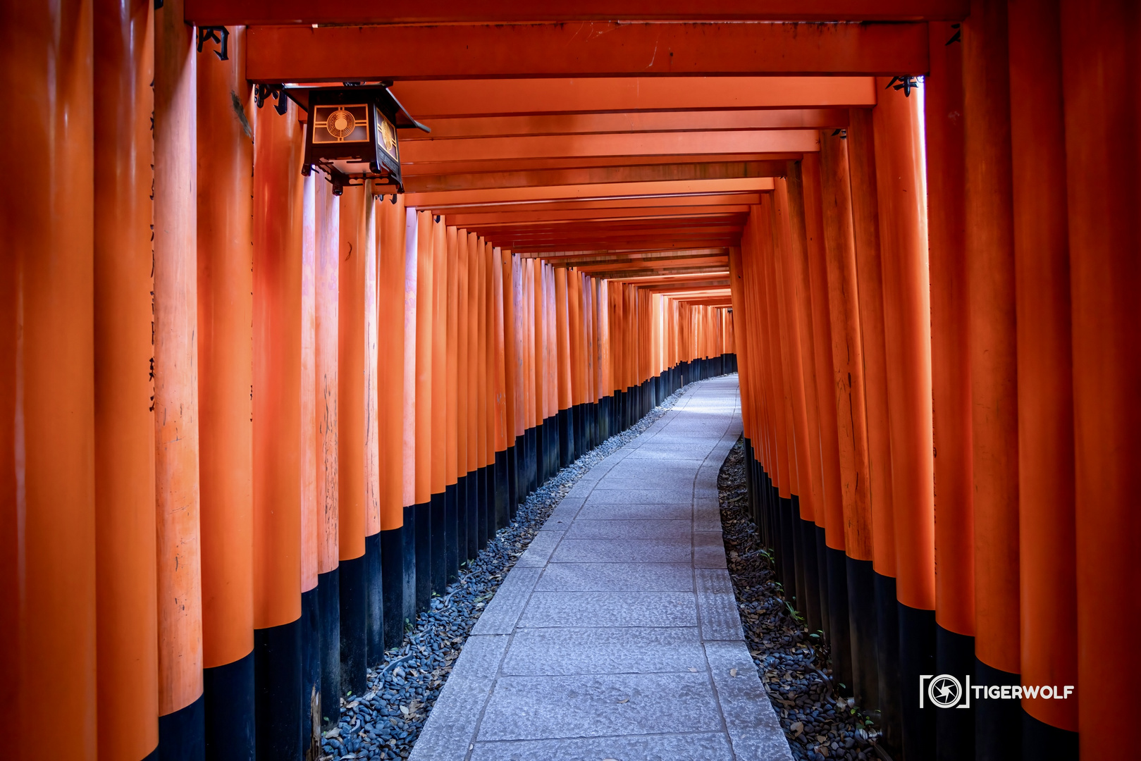 Die 1000 Toriis des Fushimi Inari-Taisha 