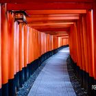 Die 1000 Toriis des Fushimi Inari-Taisha 