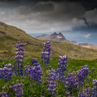 Die 2 Seiten von Islands Landschaft...verändert