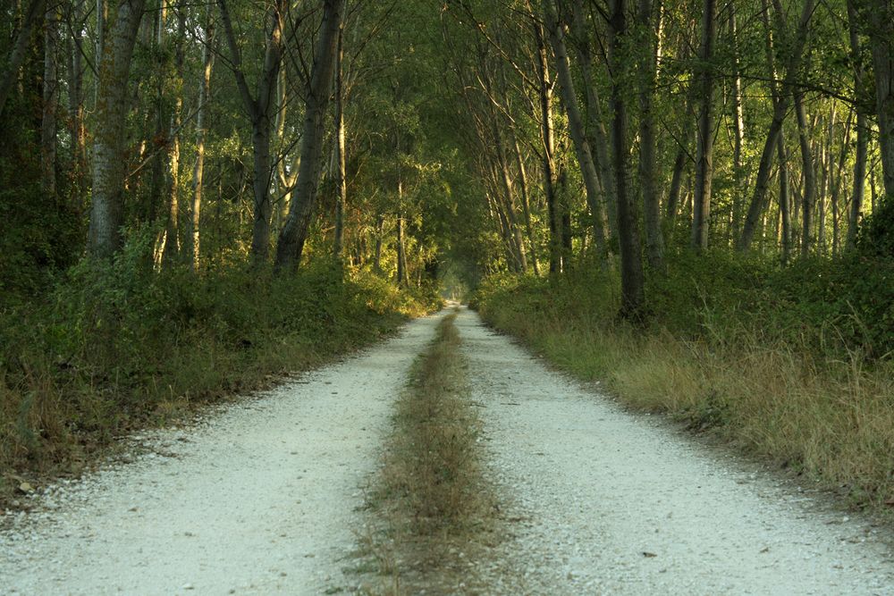 Die 20-km-Allee