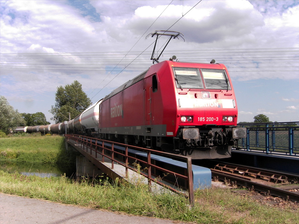 Die 200ste in den Rheinwiesen von Karlsruhe