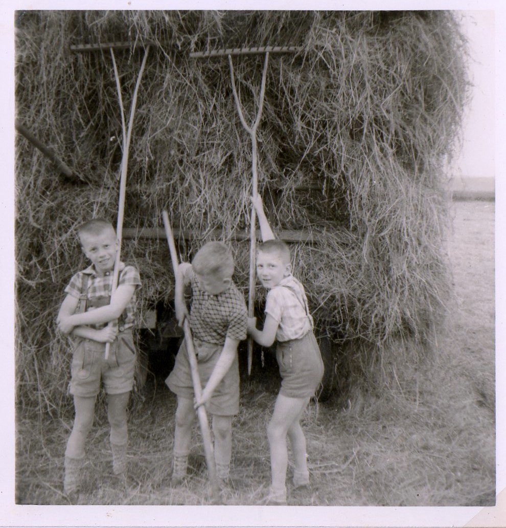 die 3 kleinen Brüder