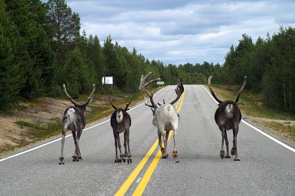 Die 4 von der Landstrasse..
