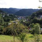 Die 5 Täler-Stadt Schramberg im Schwarzwald