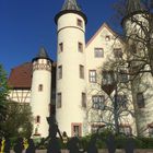 die 7 Zwerge vor dem Baumschatten am Lohrer Schloss