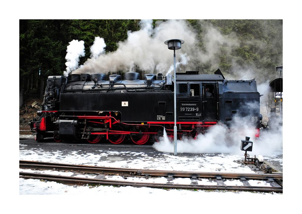 Die 99 7239-9 kurz vor der Abfahrt in Schierke/Harz