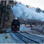 Die 99 7247-2 vor HP Steinerne-Renne (30.12.2016) #1