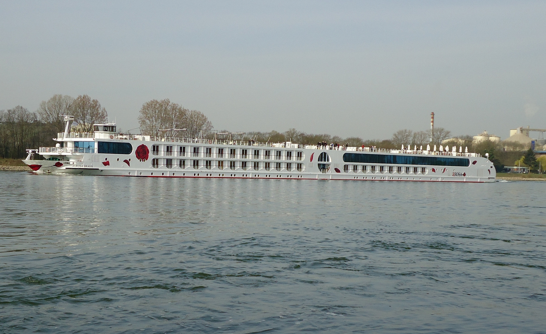 Die A-Rosa Brava auf dem Rhein bei Mainz