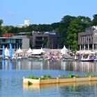 Die "Aa-Farm" auf dem Aasee in Münster