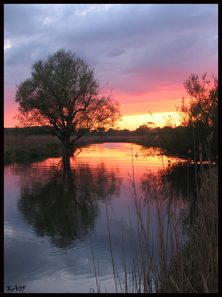 Die Aach - Bodenseezufluss