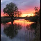 Die Aach - Bodenseezufluss