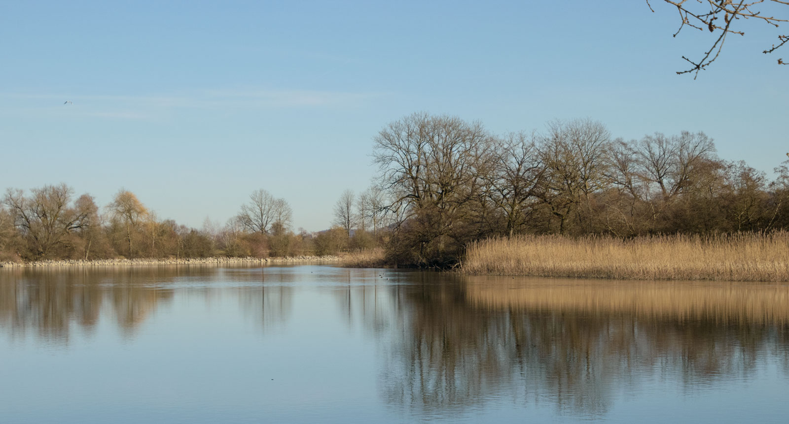 Die Aare bei Grenchen