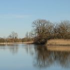 Die Aare bei Grenchen