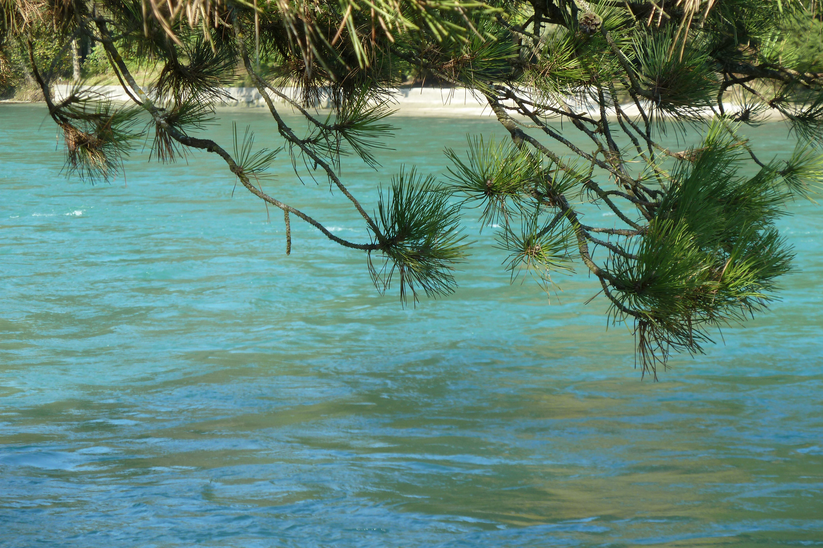 die aare, ein wunderbarer fluss zum baden