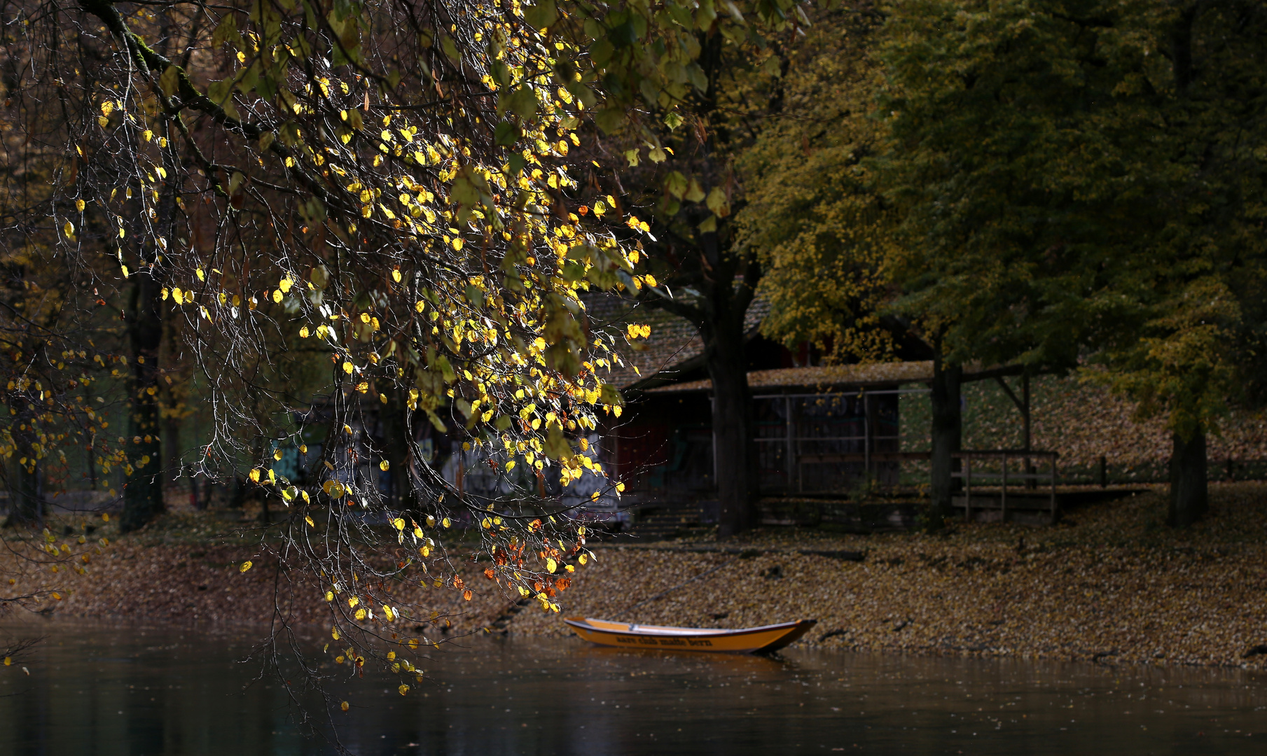 Die Aare im Herbst