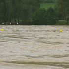 Die Aare nach dem Regen