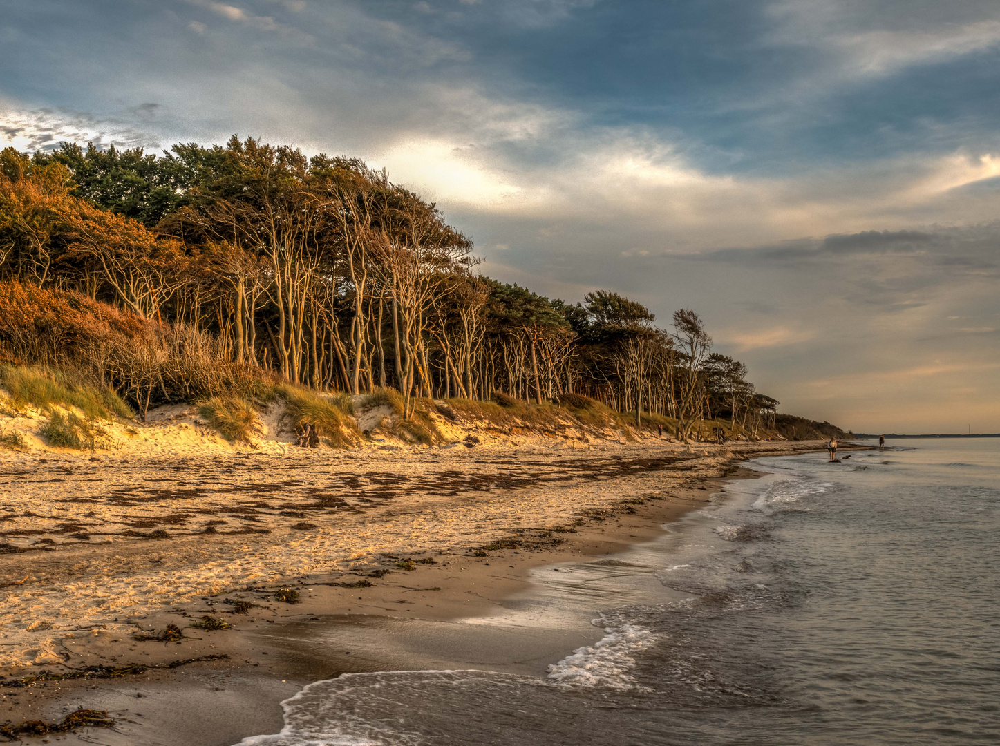 Die Abendsonne am Weststrand