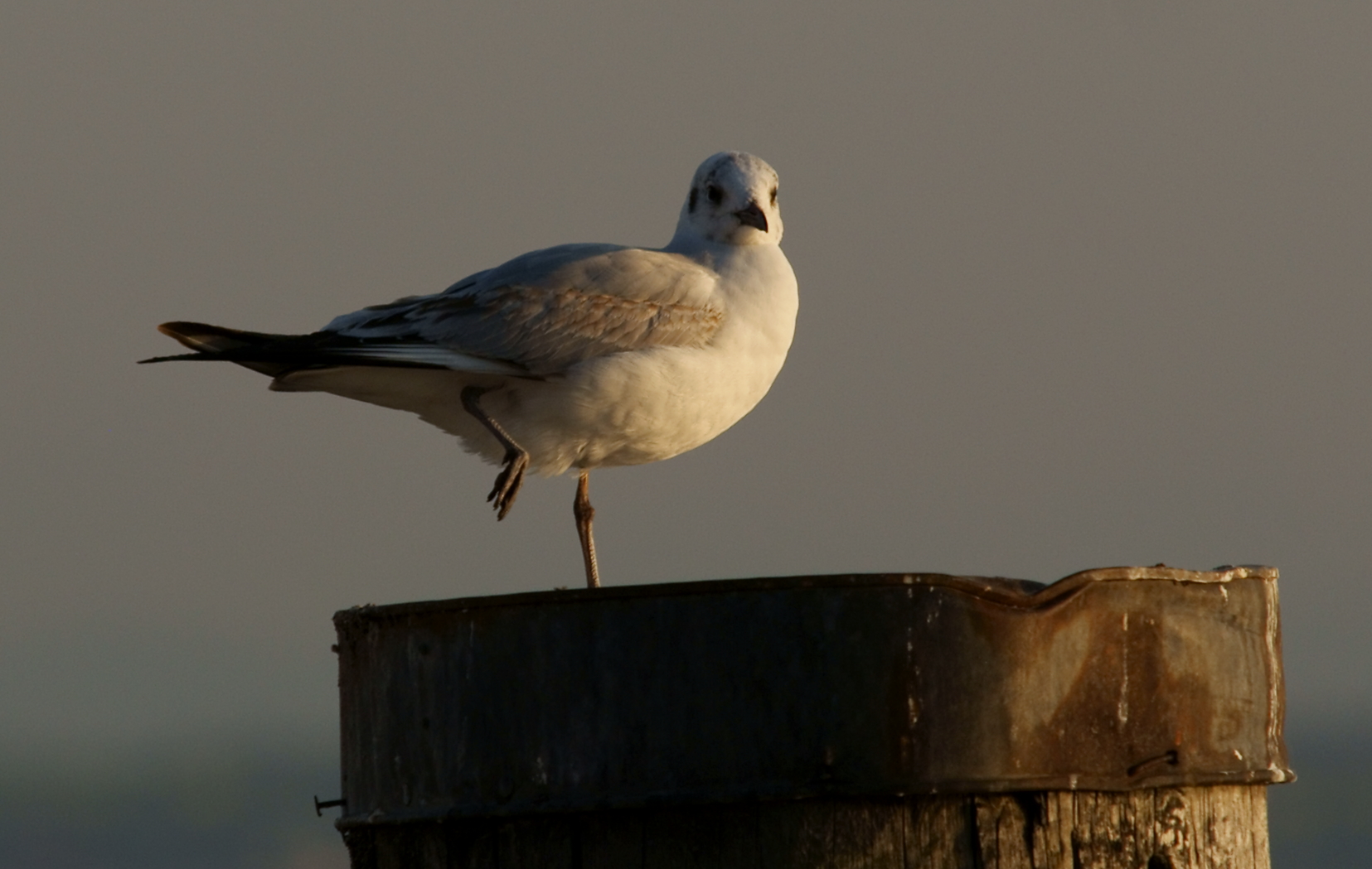 Die Abendsonne genießen