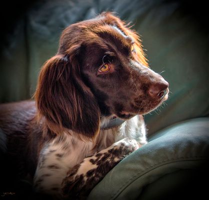 die Abendsonne genießen