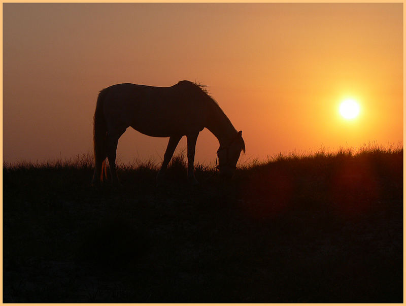 Die Abendsonne genießen