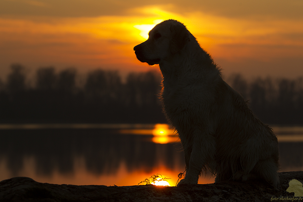 Die Abendsonne genießen