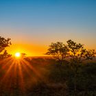 Die Abendsonne in Namibia - jeden Abend ein Traum, dieses Licht!!