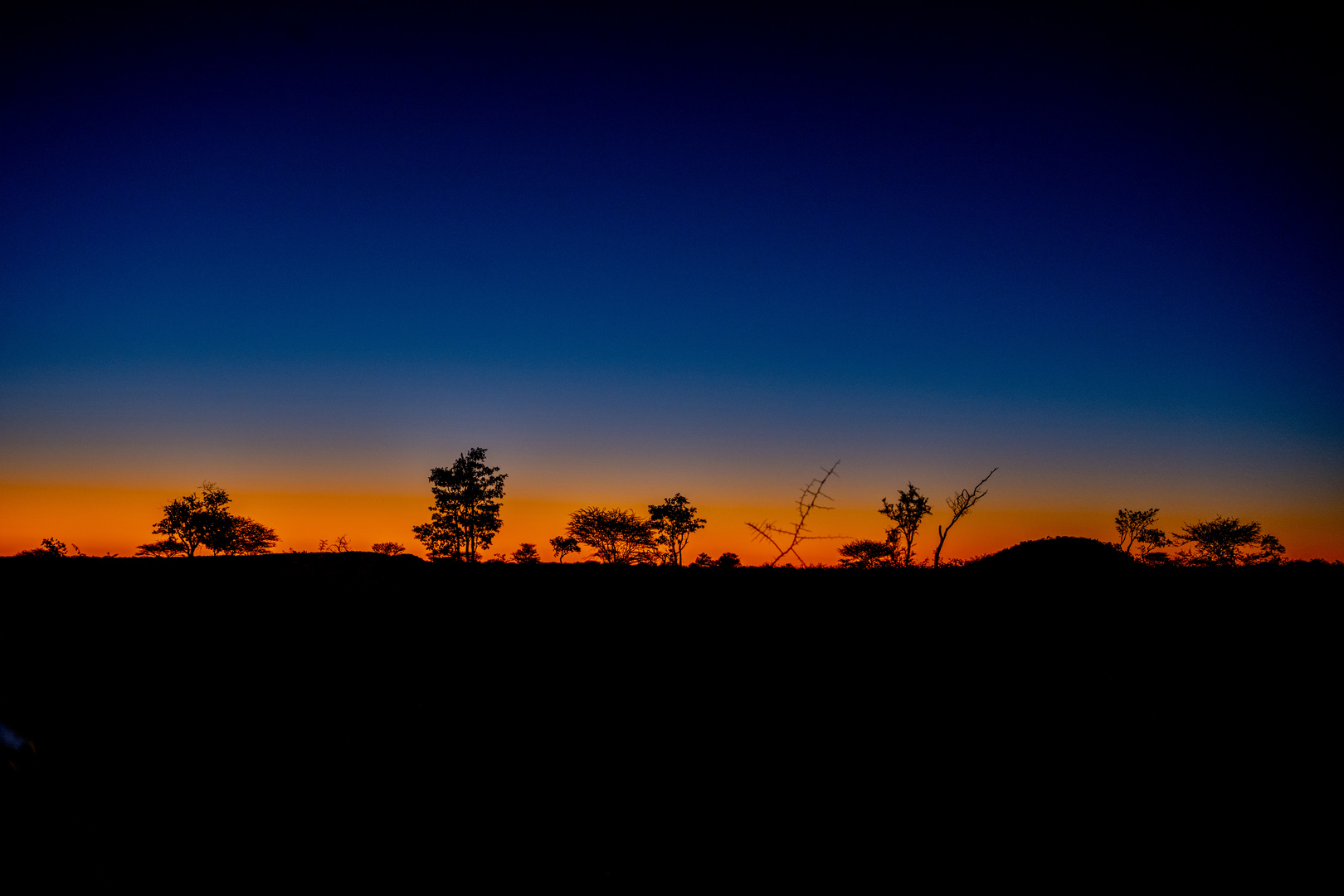 Die Abendsonne in Namibia - jeden Abend ein Traum, dieses Licht!!