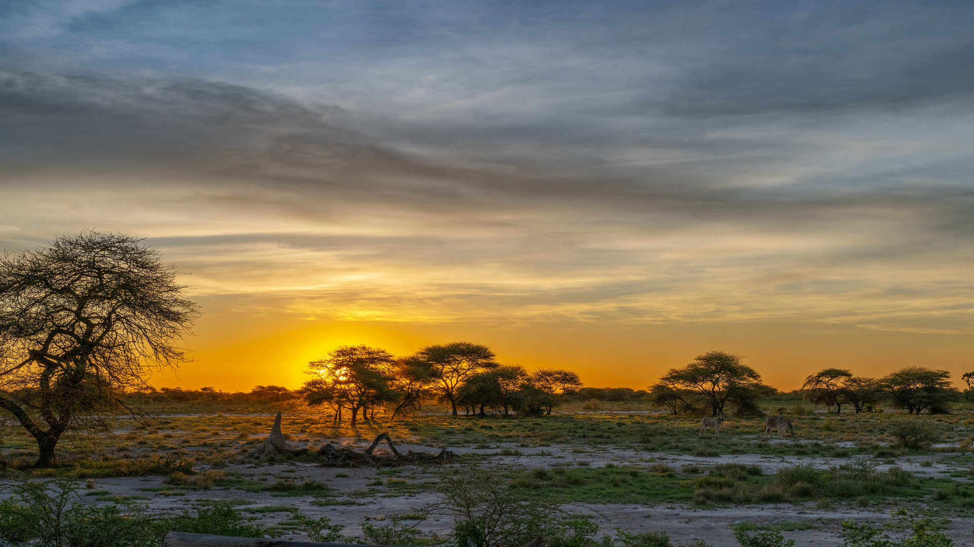 Die Abendsonne in Namibia - jeden Abend ein Traum, dieses Licht!!