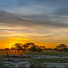 Die Abendsonne in Namibia - jeden Abend ein Traum, dieses Licht!!