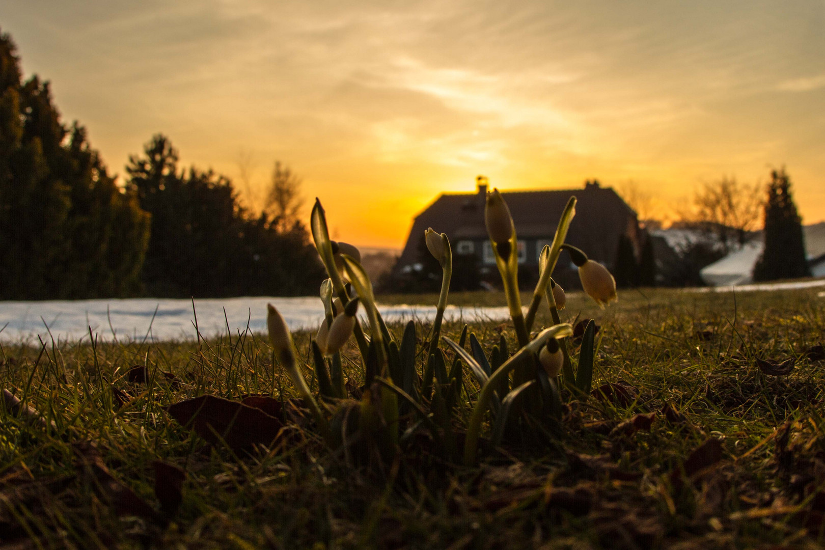 die Abendsonne kann soooo schön sein