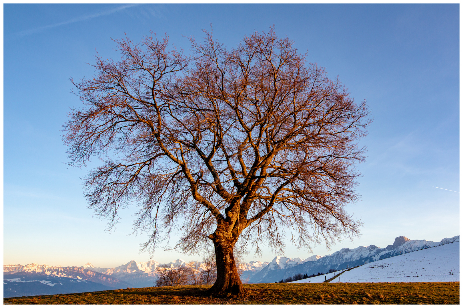 Die Abendsonne mit Panoramablick...