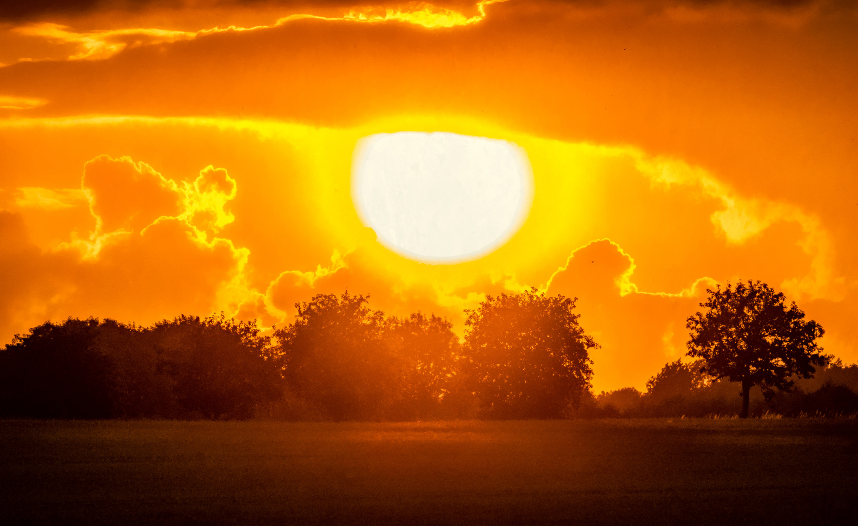 Die Abendsonne steht über dem Hügel