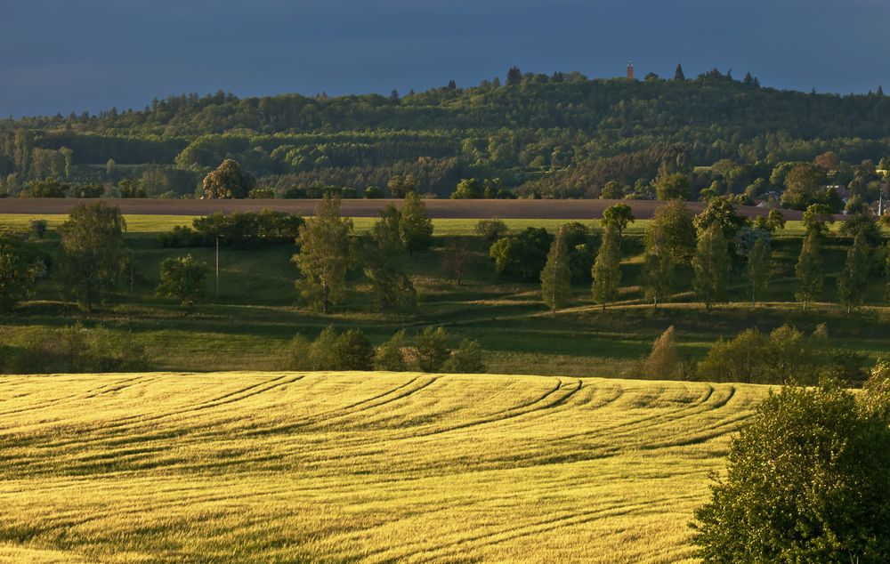 Die Abendsonne streichelt die Landschaft