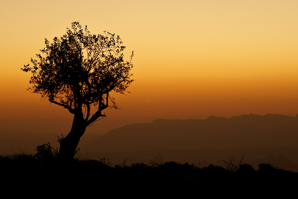 Die Abendstimmung über dem „Jabal al Akhdar“ Gebirge / Oman