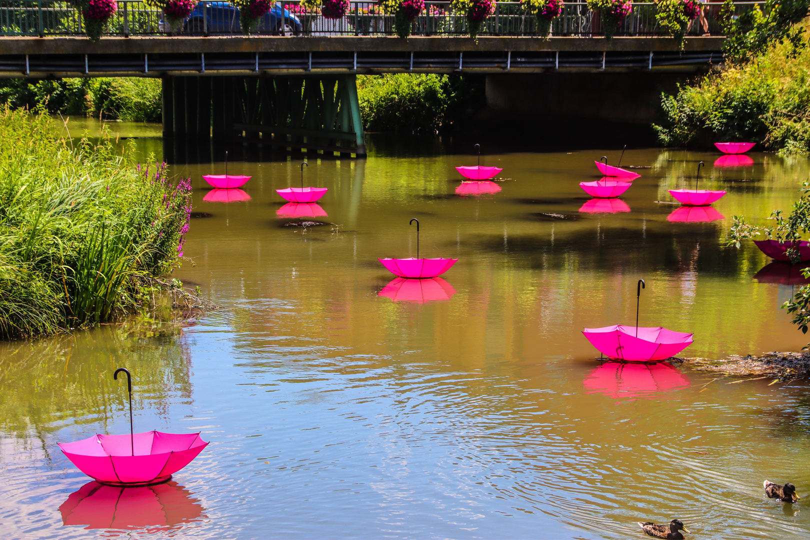 Die Abens, Nebenflüsschen der Donau