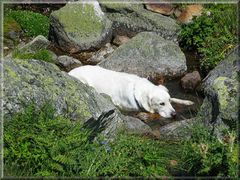 Die Abkühlung nach einer Bergwanderung