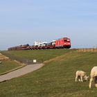 Die Ablösung am Autozug