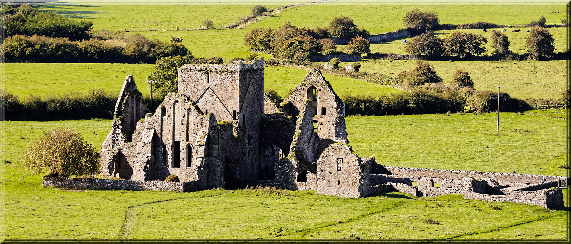 Die Abtei „Hore Abbey“ 