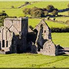 Die Abtei „Hore Abbey“ 