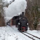 Die "Adventzüge im Steyrtal" 