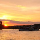 Die Älteste Dampschiffflotte der Welt in Dresden