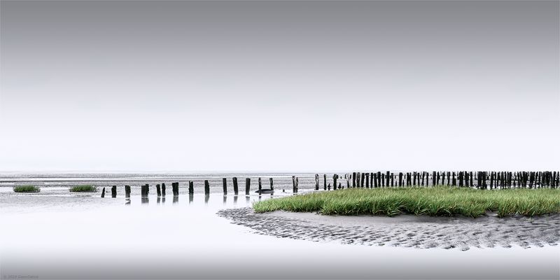 ::: Die Ästhetik der | Schlickgras-Inseln :::