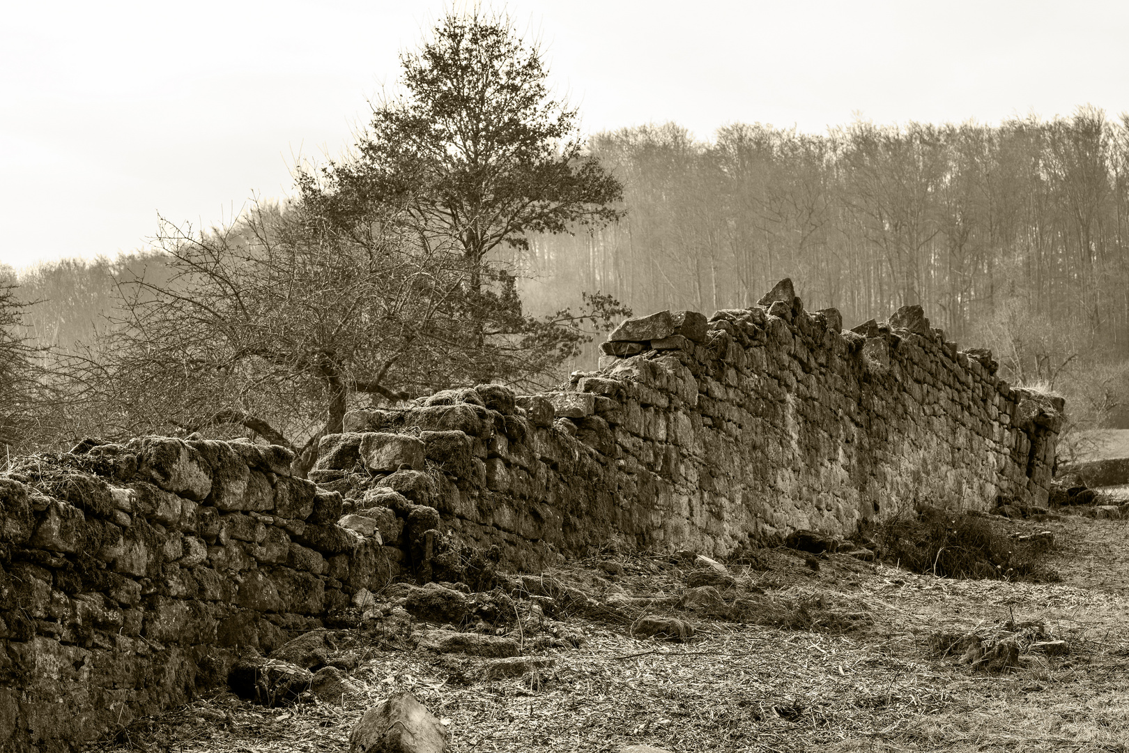 Die äußere Klostermauer, Außenansicht