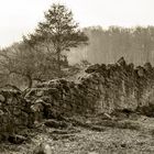 Die äußere Klostermauer, Außenansicht