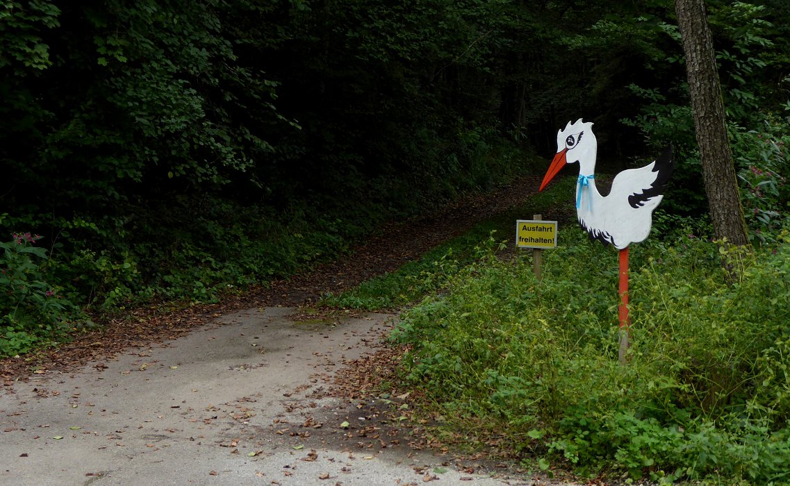 Die Affen rasen durch den Wald