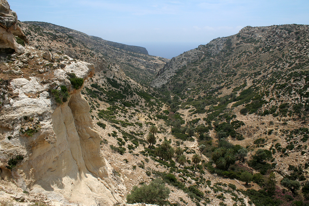 Die Agiofarangoschlucht