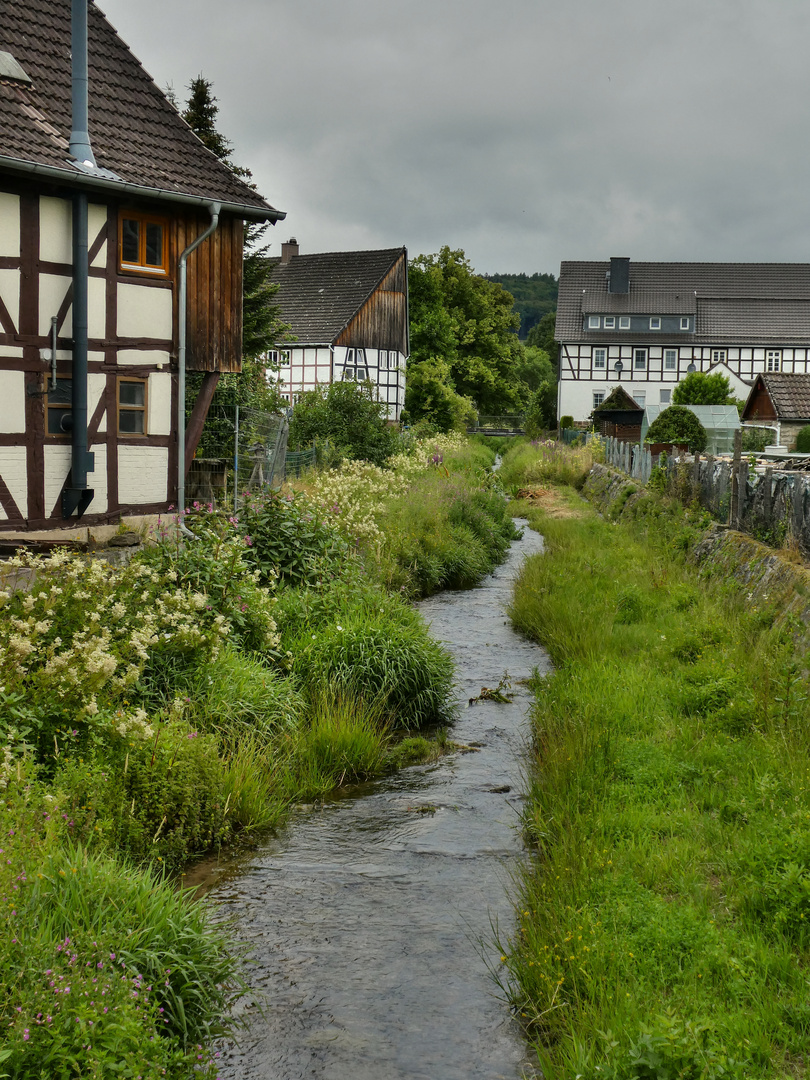 Die Ahle in Schönhagen wächst bald zu