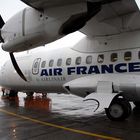 Die AIR FRANCE fliegt seit dem 19. Januar 09 direkt von Bern nach Paris-Orly