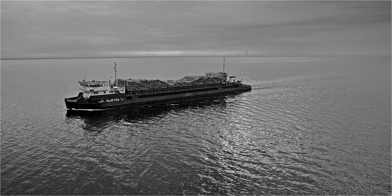 Die Akbuzat - eines Morgens kurz vor St. Petersburg