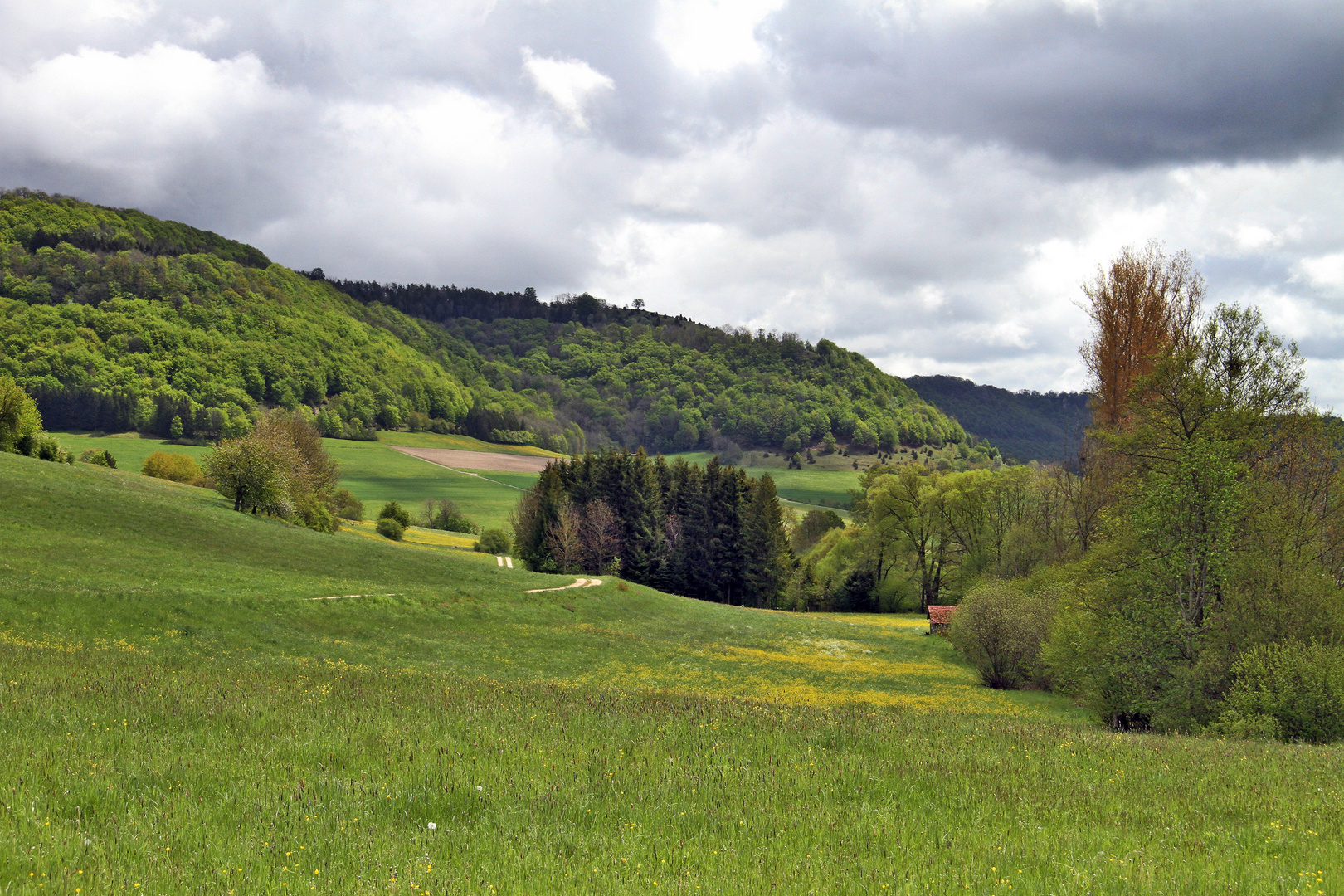 Die Alb im Frühling